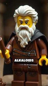 Mandrake: Magic Root or Medicinal Marvel?