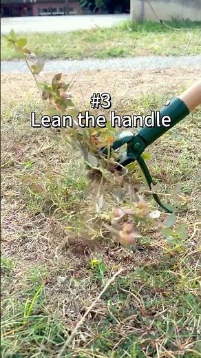 Stand-up Weed Puller Tool Easy to Remove Weeds Without Benging Over and Kneeling | Rake, Weeder