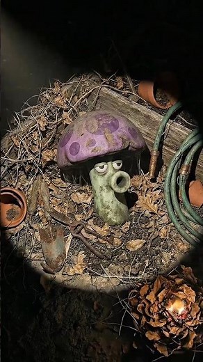 Plants Vs. Zombie | Abandoned Scaredy-shroom