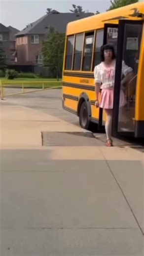 1.4K views · 45 reactions | “Lolita Line” bus that picks up children with driver wearing dress. I need to know where this is and if this was investigated. | Chatty Annie | Facebook