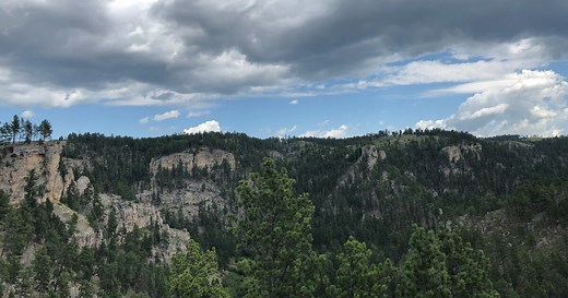 The Origin Story, History, And Controversy Of Black Hills National Forest