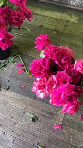 Floral towers backdrop in pink & red blooms 🌺💓🌹 Created with love for the lovely Dan & Amy’s wedding ceremony @thepanamadiningroom in Fitzroy 🤩 #floraltowers #backdrop #pinkandred #blooms #ceremony #weddingbackdrop #backdropinspo #fitzroy #melbourne #melbourneweddingflorist #floralaffairs | Floral Affairs
