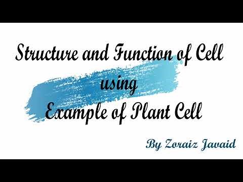 Science GED: Unit 2: Life Science - Lesson 1: Cell Structure and Function