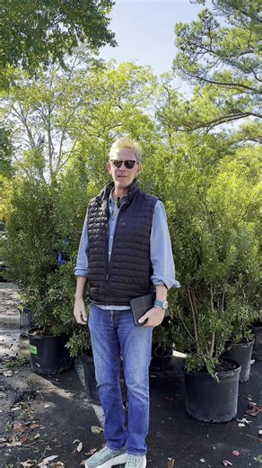 🌿 Week 4 | Visitor Center Entrance Update PLANTS HAVE ARRIVED! 🌱✨ We’re so excited to see a beautiful collection of trees and plantings going into our refreshed Visitor Center entrance this week. In this week’s video, learn about some of the new plantings — including the Southern Magnolias ‘Dee Dee Blanchard’ and ‘Claudia Wannamaker’ — as our new entrance continues to take shape! 🌸 Keep an eye out for directional signage guiding you to our temporary entrance facing Cherry Rd, and stay tuned f