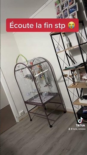 Participez à Ninja Warrior avec Luna 😎 #TF1 #ninjawarrior