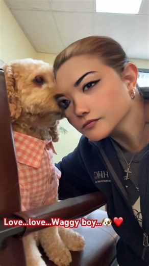 The Cockapoo’s wonderful life…🐶