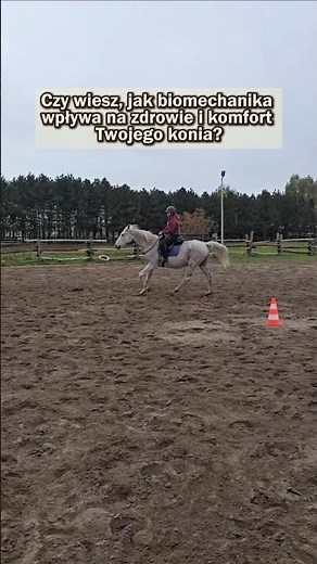 Szkolenie z biomechaniki konia i jeźdźca w Stadninie Koni w Nowej Wsi - zostały ostatnie miejsca