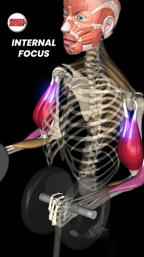 🔥Our New Year’s Sale is live: 40% off all apps and online courses. Train smarter, move better! The Power of Mental Focus in Muscle Development 💪🧠 Did you know that where you direct your attention during resistance training can make a significant difference in your muscle gains? A 2018 study led by Brad Jon Schoenfeld found that focusing internally on your muscle contractions can lead to significantly greater muscle growth, especially in the upper body. For instance, participants who concentra