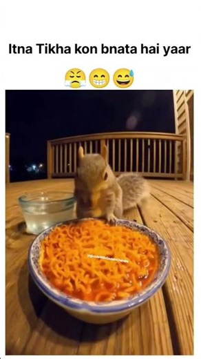 itna Tikha kon bnata hai yaar #memes