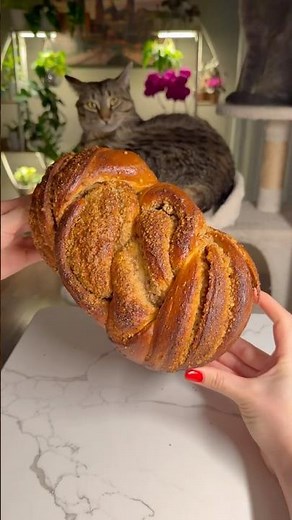 Brioche with Nuts 🌰 The recipe is in the description and in the pinned comment❤️