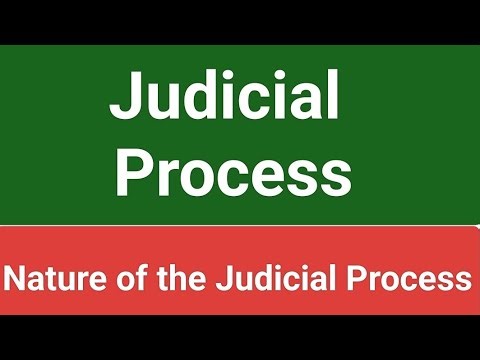 #Judicial Process (Nature)