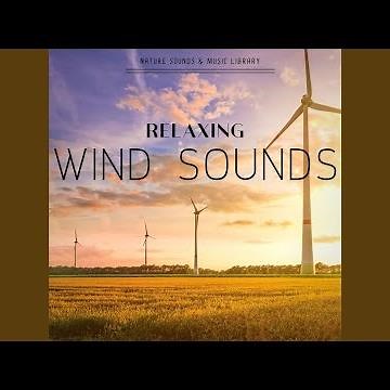 Howling Wind Sounds