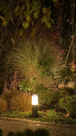 Illuminate Your Pathway: Safety and Style