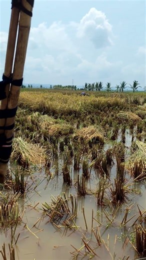 Hasil rekaman video 1080p 60fps Poco x8 pro