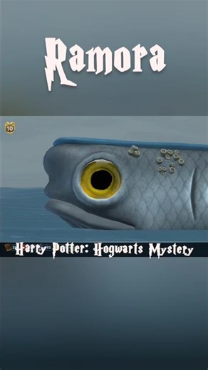 Ramora 3+ lvl Harry Potter: Hogwarts Mystery