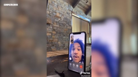 The best celebrity TikToks of 2020