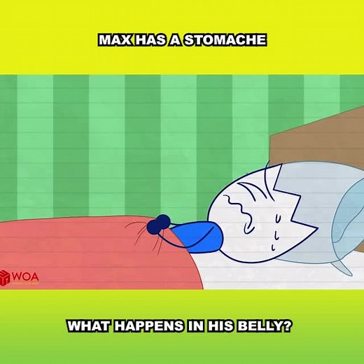 Exploring Max's Belly: A Pencilmation Animation