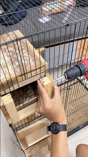 Installing nest boxes inside a colony cage for lovebirds. #lovebird #aviary #birdbreeding