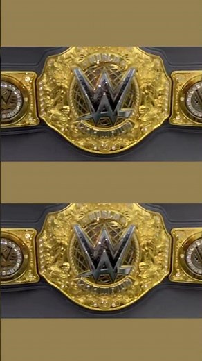 Signed WWE Wrestling Belt Framing