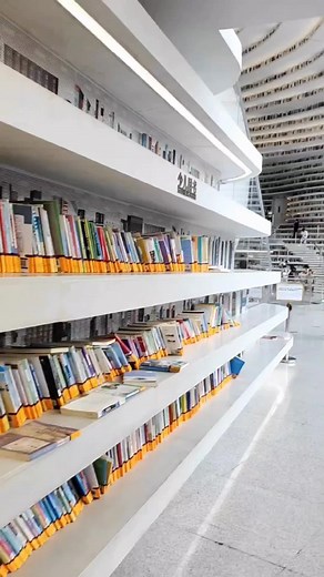 Tianjin Binhai Library: A Modern Architectural Marvel