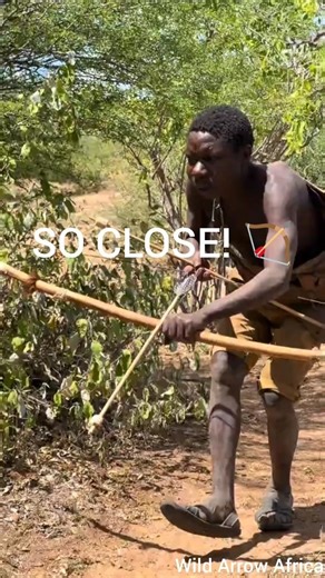 The Great Escape! 🏹 Blue Wildebeest vs Hunter | गनू का शिकार | Fugida do Gnu na Savana 🌍