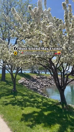 12K views · 146 reactions | You need to visit Detroit this May to...