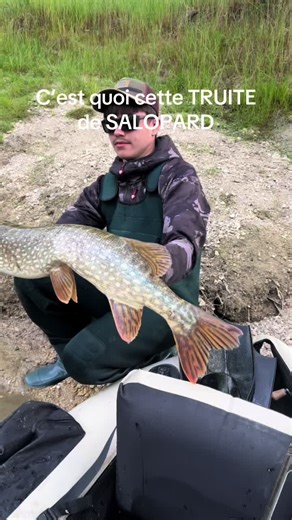 #peche #carnasier #fishing #pourtoii #seine