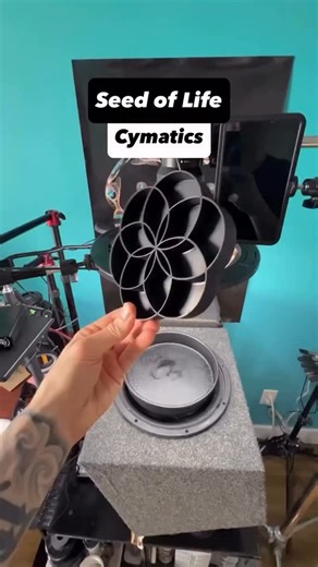 278K views · 6.4K reactions | Sound vibrations influence and organize matter  Frequencies cause particles to self-arrange into structured, often symmetric patterns. This experiment shows water in a dish responding to vibrations, illuminated from above — a visual model of wave-matter interaction. By @seeing_into_the_unknown | Psychedelic Society | Facebook