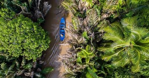 About Earthworm: learn about our vision and objectives - Earthworm