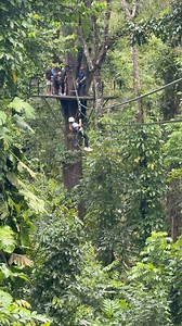 750K views · 14K reactions | Ustedes me dijeron que querían verlo y aquí tienen el momento cuando me lancé | Alaïa | Facebook
