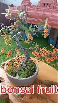 The Most Satisfying Fruit Tree Bonsai Transformation–From Wild to Perfect Miniature #fruittreebonsai
