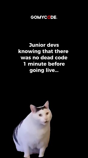 Senior devs sometimes be like… #tech #developpers #senior #devs | gomycode