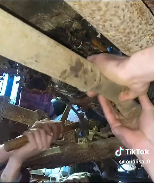 Restoring a pulled out willys panel wagon after 40 years #restoring #oldcar #oldtruck #car #detailing #abandoned #restore #carrestoration #restoration #willys