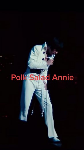 The iconic Polk Salad Annie performance that we’ve all seen but can’t get enough of😭 #elvispresley #MyDolceMoment #elvismovie2022 #kingofrockandroll #elvispresleyfans #elvispresleytcb #elvis2022 #elvisontour #70 #graceland #memphis #thatsthewayitis