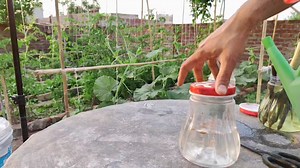 5.4K views · 121 reactions | 8 Miracle Of Vinger | Put Vinger on Your...