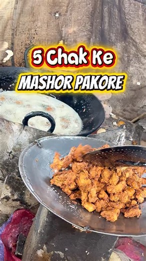 Asif Food Vibes on Instagram: "5 Chak ke Famous Pakore #asiffoodvibes #vlog #fypシ #food"