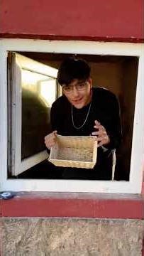 Hühner Eier einsammeln