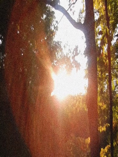 Dagger by Slowdive: An Emotional Journey