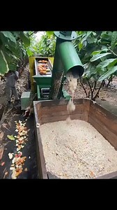 5.5K views · 62 reactions | #Our education system vs Chinese tech 易 | Idi Cedes Gh | Facebook