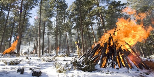BLM plans slash pile burns in Lawrence County following recent snowfall