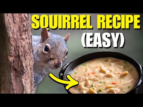 How to Cook SQUIRREL | Squirrel & Dumplings | Wild Game Comfort Food