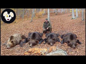 Alaska Brown Bear & Wolf Hunting Adventure | Wolves, Bears and Nightmares