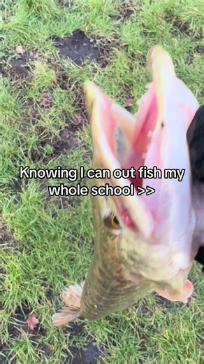 Mastering Fishing Skills for Every Enthusiast