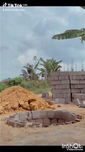 #steps #dance #funnyclips