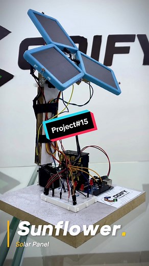 Codify على TikTok