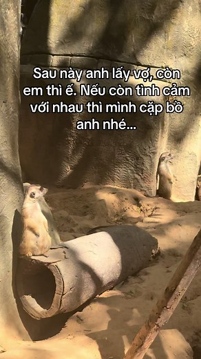 Những Kỷ Niệm Đáng Nhớ Tại VinWonders Phú Quốc