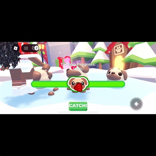 Getting my first pug! | Roblox Adopt me