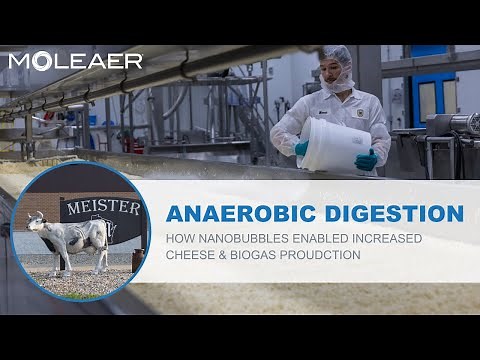 Anaerobic Digestion: Nanobubbles Enable Meister Cheese to Increase Biogas & Cheese Production