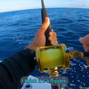 4K views · 78 reactions | Catching Some CRAZY Giant Fish | South Florida Fishing Channel | Facebook