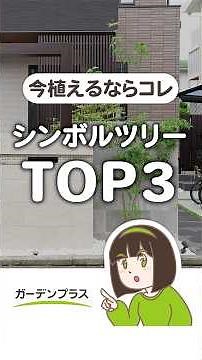今人気🌲シンボルツリーランキングTOP3 #マイホーム